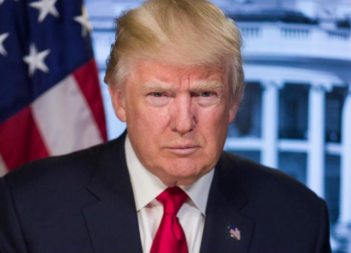 (Above: President Donald Trumps official presidential portrait. Photographer unknown.)