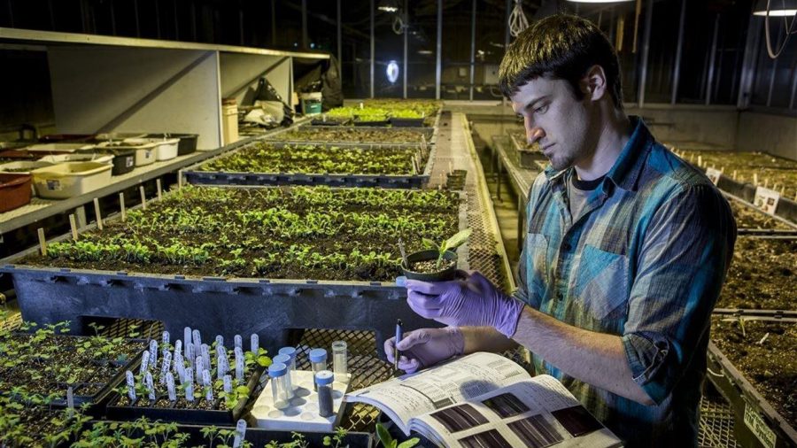 Growing need for ag expertise: Not all high-paid careers are on the farm