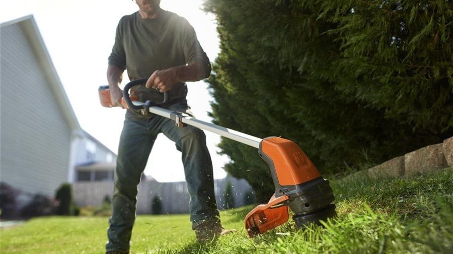 Dominate spring: 5 easy steps to wake up your lawn