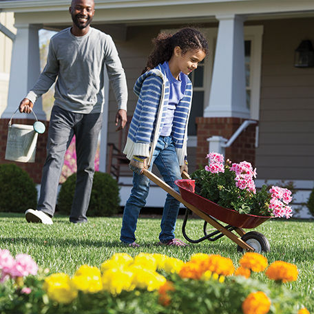 Secrets for a Well-Maintained Lawn