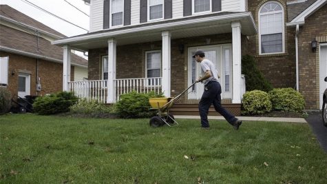 Fall maintenance tips for a lush green lawn next spring