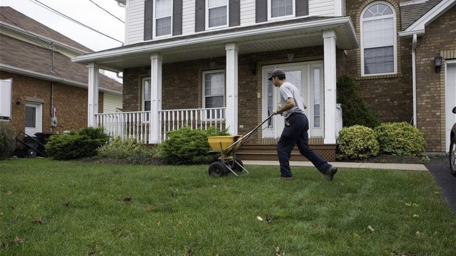 Fall+maintenance+tips+for+a+lush+green+lawn+next+spring