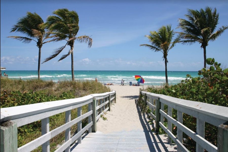 An innocent Florida beach? Or a murder scene?