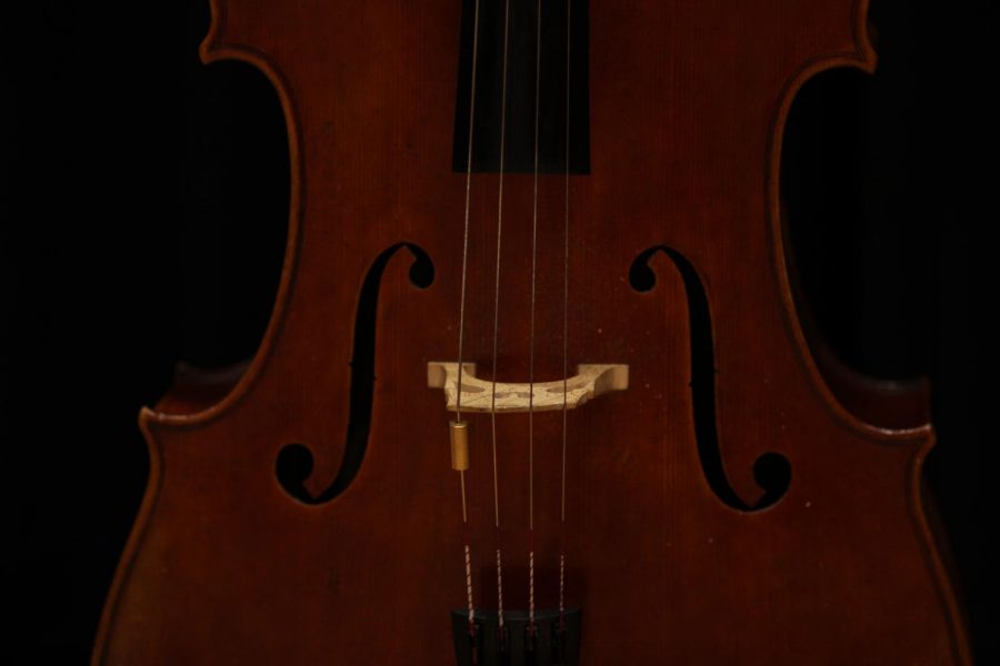 Instrument (Violin? Idk not a music major)
