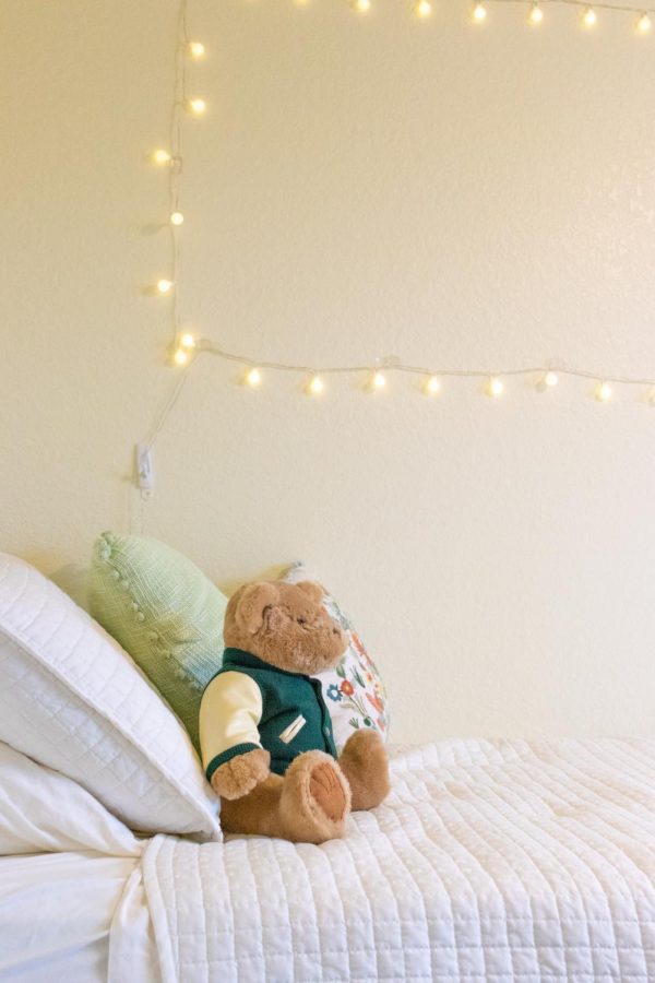 Brooks teddy bear was given to her as a gift by one of her friends because of the Stetson colors. Other than the pillows and blankets, it was the only thing on her bed.