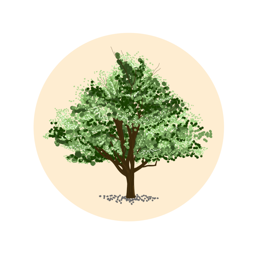 tree circle graphic