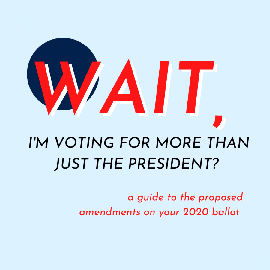 Wait, I’m Voting For More Than Just the President?